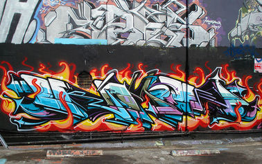 Jet multicolore de graffiti peindre la viscosité moyenne rapide 400ml de temps de séchage